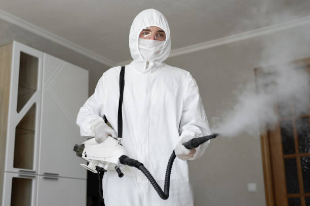 Mold Remediation for Vacation Homes in Cross Roads, TX